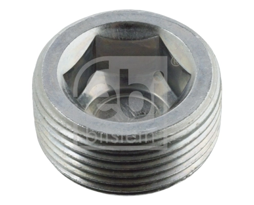 Screw Plug, axle drive